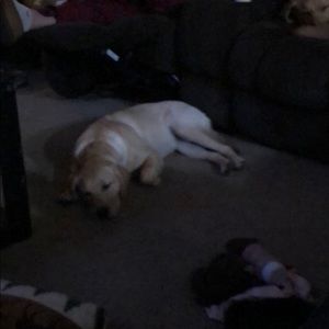 Meet your Posher, Heather